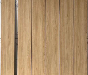 Керамогранит (20*120) Арт.LF21202