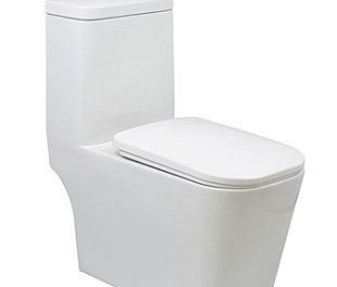 Унитаз напольный моноблок, Арт.6264