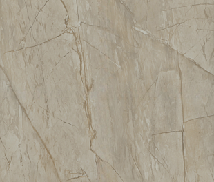 Керамогранит (60*60) Арт.61216